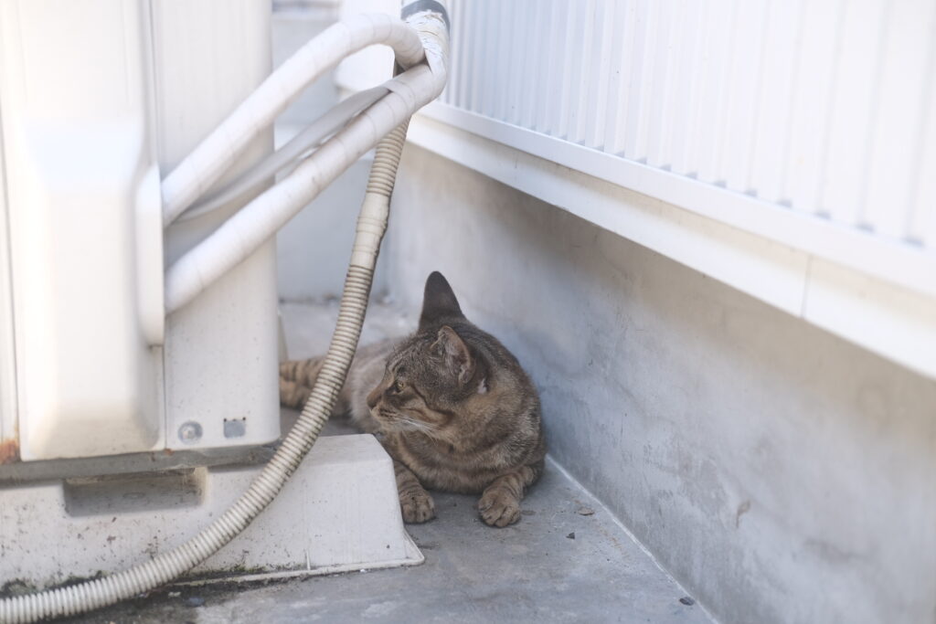 永野さん1