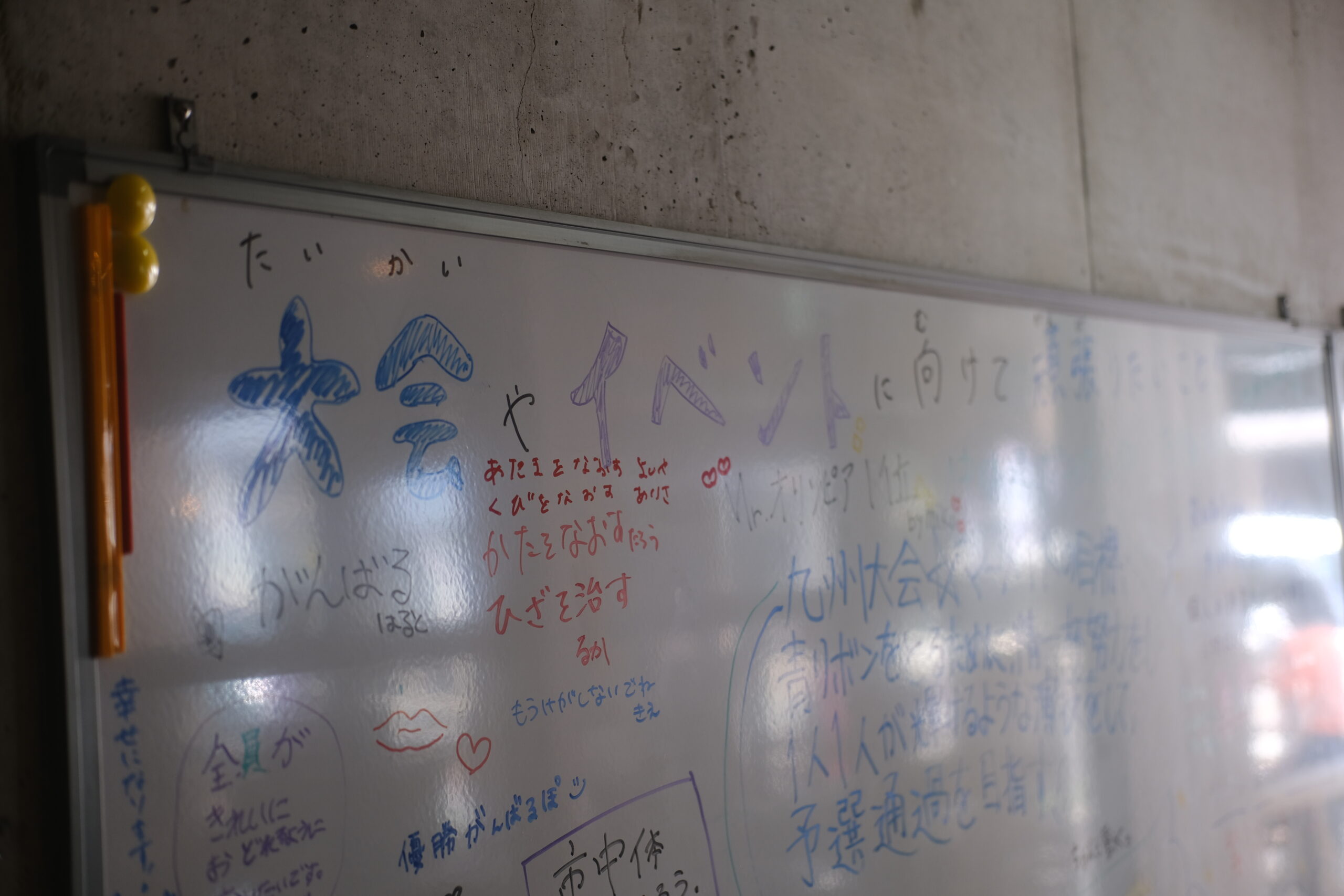 迎秀子 5枚目